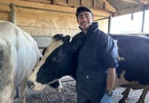 Training available for dairy farmers