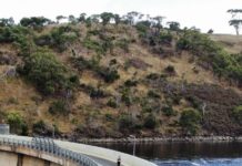 Road closures to run safely