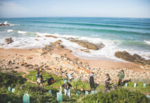 Middleton’s big day of planting