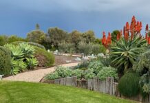 Unique coastal delight