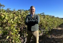 China exports on the rise