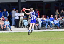 Victor breeze past Bays