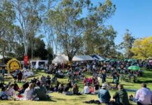 Trips to the country