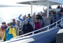 Dolphin Watch Science Week