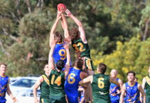 Mudlarks advance past Bays