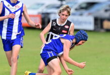 Junior colts give it their all