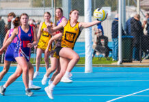 Strath knockout Victor