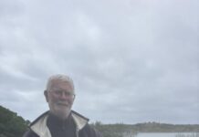 Penguins meet printmaking