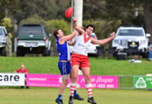 Clean sweep for Roos