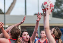 Great Southern Netball Finals