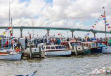 Help shape Alexandrina’s future