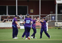 Falcons flying at start of season