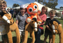 Port Elliot Show number 145