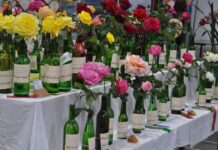 Entries flood in for Show