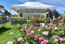 Rotary Market is back