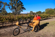 McLaren Vale eBikes wins tourism award