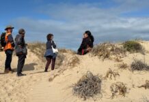 Drilling for data to understand dune dynamics