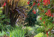Open Garden at Willunga