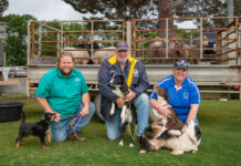 Strathalbyn Show 2025