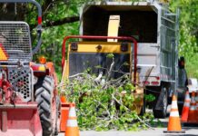 ‘You can tell when you enter Alexandrina’: Roadside maintenance needs a whack