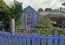 Open garden in Strathalbyn