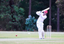 Junior Cricket
