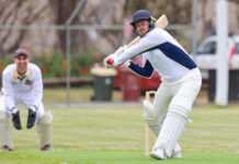 Century maker Hoffmann