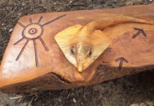 Kondoli collaboration