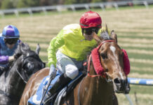 Strath trainer wins at Clare Cup Day