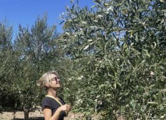 Zdenka310 on a winner