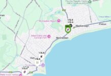 Petrol price detectives save big