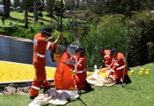 Duckin’ good day for racing