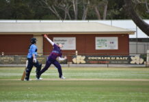 Falcons finish first half of season on high