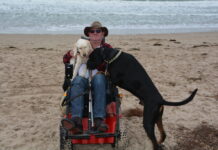 Call for a second dog park