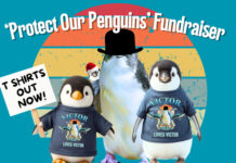 Help protect GI Penguins