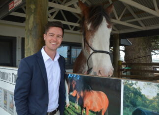 Horse Tram on life support