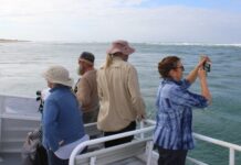 Summer Science on the Coorong
