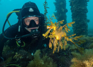 Enter competition for coastline captures