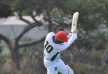 Great Southern falls short in shield final