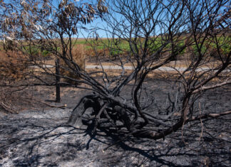 Online fundraisers for those who lost homes in Tooperang fire