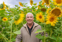 Let it grow! Sunflowers on show at Langhorne Creek
