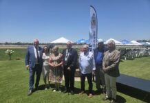 Brilliant racing at Veteran’s Race Day