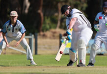 Magpies fly through Victor