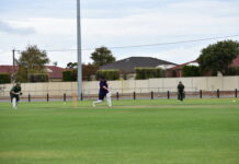 Schreiber leads Falcons to victory over Marion