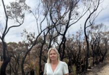 Fund created to help flora, fauna recovery at Deep Creek