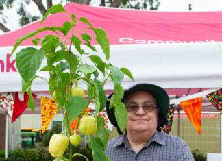 White Capsicum on sale at festival