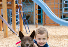 Dogs day at Investigator